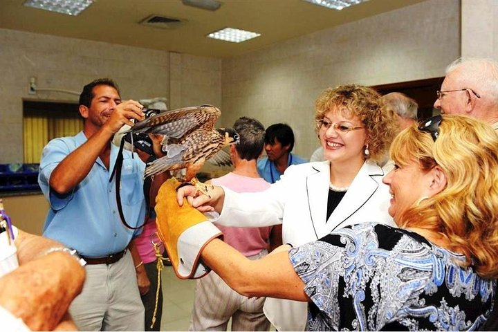 Experience the blend of rich culture and modern excitement from the majestic falcons to the thrill of Ferrari World making unforgettable memories on this unique Abu Dhabi tour.